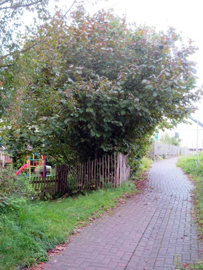 Gemuetliche Fachwerkwohnung Alfter Eksteriør bilde